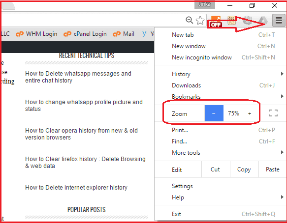 How to change Google Chrome zoom default settings - Whatvwant